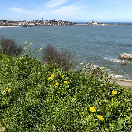 Appartement Urrugne Apartment Urrugne